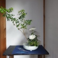 活け花