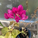 住吉の初打ち♪