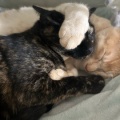 在籍１年２カ月　ついにまゆちゃんが卒業しました‼