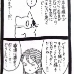 新星☆ベランダからやってきた猫19