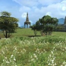 【FF14】これで探索し放題！？クレセントアイル北征編でナレッジレベルを上げると、南征編の高レベルモンスターに絡まれなくなることが判明！