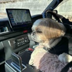 Hide san 色々日記