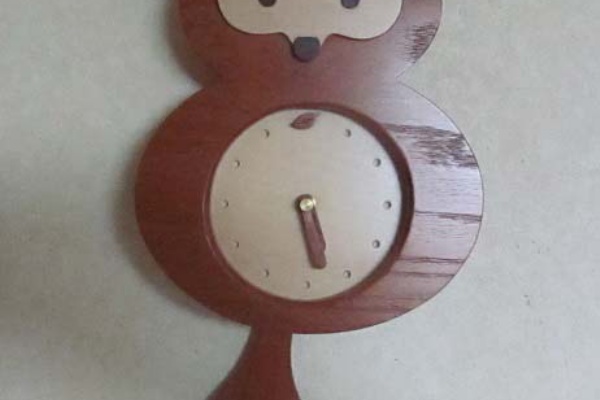 ﾀﾇｷｳｫｰｶｰｽﾞ野生動物探索日記 タヌキグッズコレクション