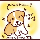 こぎ丸が家族になるまでの話（5）