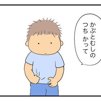 カブトムシの土