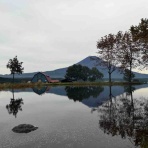それさえもおそらくは平凡な日々