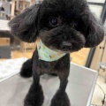 こんにちは😄