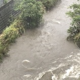 『台風19号』の画像