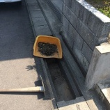 『ありがとうございます。』の画像