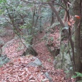 吉備中山の金毘羅宮跡の磐座