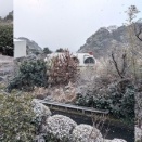 何に投票しますか？