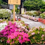 OKOTのんびり高原暮らし日記