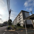 手紙舎に新しい動き！"手紙舎のパンやさん"が西つつじヶ丘に誕生する模様