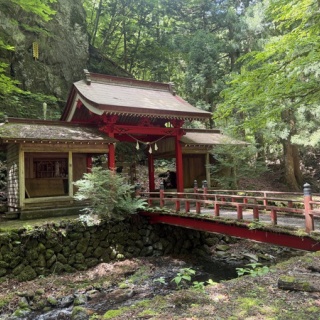 山田とことこ日記