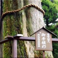 5/30～6/2間で、ノンビリと「七面山〝敬慎院・奥の院〟」に参詣でした(11)