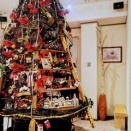 25周年を迎えます🎄