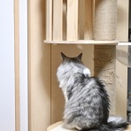 猫とふたり暮らし～evaとaiaiの日常～