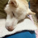 どこから来て、どこへ行くのか