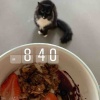 【ご飯日記】KETOグラノーラとヨーグルト、チキンテンダー、カリフラワーライスの〆