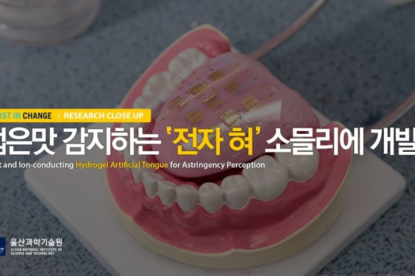 料理でおぼえる韓国語 韓国料理の歴史 文化