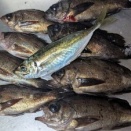 やっぱり消えてる・・・😭