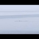 ４月２７日（月）１～４便