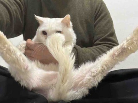 色んな意味でセンシティブ珍獣　20260310