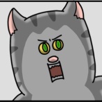 猫にもフレネミーいたわ