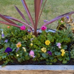 すみ子の小鳥が憩う手作りガーデン