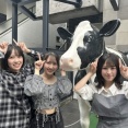 外ハネ島川波菜がかわいい