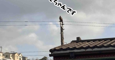 こんな近所でやられるなんて。