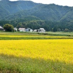 日本の原風景