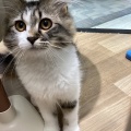 お問い合わせ番号３６４２５３