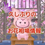 『久しぶりのお花相場情報』の画像