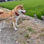 まさき動物病院