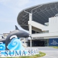 SeaWorldが登録博物館認定