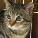 油断大敵＆照り焼き豆腐のみぞれかけ