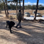 カリフォルニアのばあさんブログ