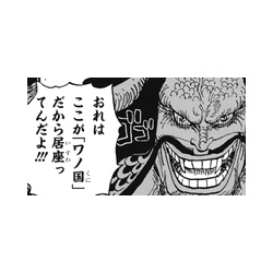 ワンピース 四皇カイドウ戦 ガチでヤバイことになってきた ネタバレ 1021話 あにこぱす