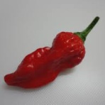 酪農家手作りアイス工房　じぇら21