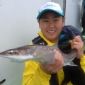 今日はシロギス釣り教室！