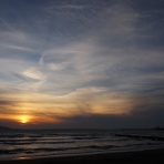 Photo by YO-RI　｢日々雑食」 ～館山・南房総～