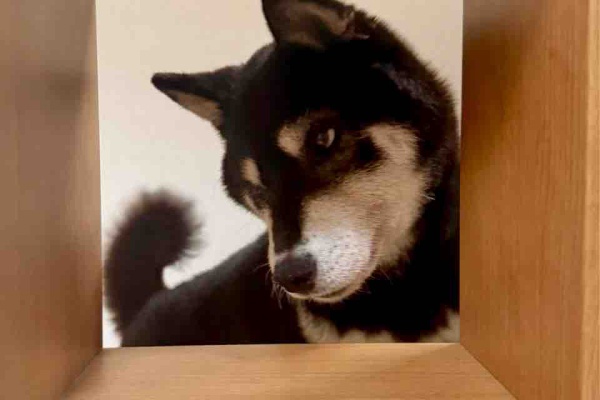 Kabuchanさんおまとめ4点 Kabuchanさんおまとめ4点