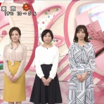 女子アナキャプでも貼っておく ～Halfway to Heaven～