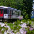 JR東日本キハ110系長野車両センター@キハ110-225（土市）