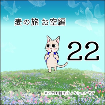 麦の旅お空編22