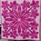 ノエウラクラス〜瀬谷教室