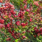 意識改革最前線の日々