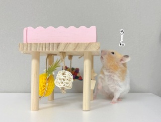 今日のプリン(11/16追記)