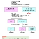 金属イオンの系統分析－第２属Ｂ
